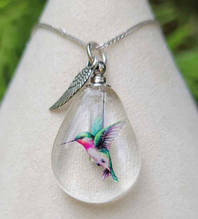 Puede incluir: Un collar de cadena de plata con un colgante de vidrio transparente que presenta una ilustraci&oacute;n de colibr&iacute; colorida. El colgante tiene un dije de ala de plata.