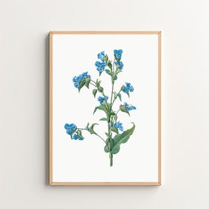 Blue Wildflower Art Print Vintage Botanical Print Floral Wall Art Printable Wall Art Digital Download