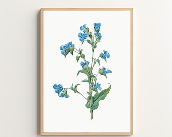 Blue Wildflower Art Print Vintage Botanical Print Floral Wall Art Printable Wall Art Digital Download