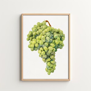 Kitchen Art Print Green Grapes Fruit Wall Art Kitchen Decor Printable Wall Art Home Decor Digital Download Dining Room Art Vintage Kitchen