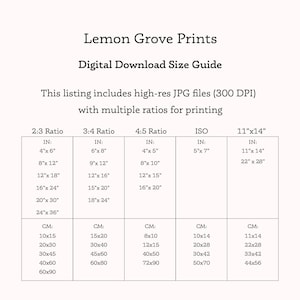 May include: A chart showing different print sizes in inches and centimeters for digital downloads. The chart includes 2:3, 3:4, 4:5, ISO, and 11"x14" ratios. The text "Lemon Grove Prints" and "Digital Download Size Guide" is at the top of the chart.