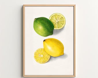 Kitchen Art Print Lemon Lime Fruit Wall Art Kitchen Decor Printable Wall Art Home Decor Digital Download Dining Room Art Vintage Kitchen Art