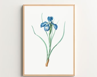 Blue Wildflower Art Print Vintage Botanical Print Floral Wall Art Printable Wall Art Digital Download Floral Art
