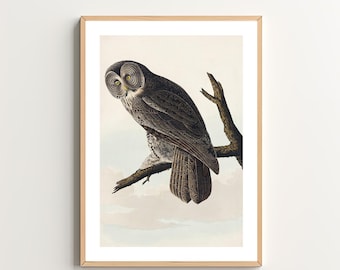 May include: A vintage illustration of a Great Grey Owl perched on a branch. The owl has a gray and brown patterned body with yellow eyes. The background is a light blue with clouds.