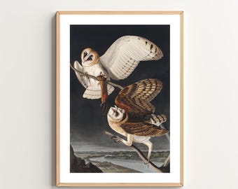 Vintage Barn Owls Art Print - Birds Illustration - Cottagecore Decor - Vintage Farmhouse Wall Art - Digital Download