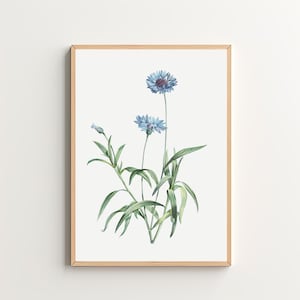 Blue Wildflower Art Print Vintage Botanical Print Floral Wall Art Printable Wall Art Digital Download