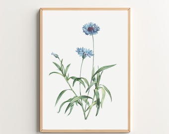Blue Wildflower Art Print Vintage Botanical Print Floral Wall Art Printable Wall Art Digital Download