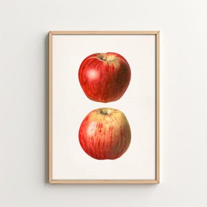 Kitchen Art Print Apple Fruit Wall Art Kitchen Decor Printable Wall Art Home Decor Digital Download Dining Room Art Vintage Kitchen Art