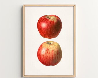 Impresión de arte de cocina Arte de pared de fruta de manzana Decoración de cocina Arte de pared imprimible Decoración del hogar Descarga digital Arte de comedor Arte de cocina vintage
