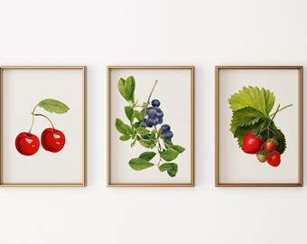 Vintage Fruit Set of 3 Digital Prints Kitchen Gallery Wall Set Berries Printable Wall Art Strawberries Blueberries Cherries Digital Wall Art