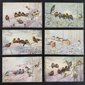 Cartes postales Grande-Bretagne."Oilette"-"OISEAUX ET FLEURS." Cartes postales n°9169.