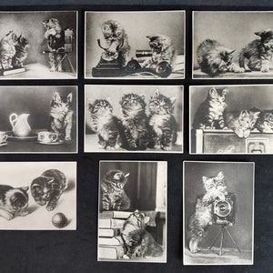 Cartoline URSS.Lotto vintage di cartoline di gatti. 9 pezzi.