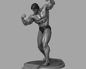 Arnold Schwarzenegger/Mr. Olympia '70 figure file STL
