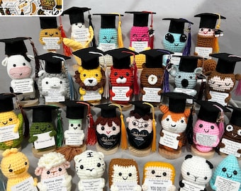 Bambole/Animali/Verdure per la laurea realizzate a mano all'uncinetto, Peluche di laurea personalizzato, Supporto emotivo, Regalo di laurea unico 2026 per lei/lui