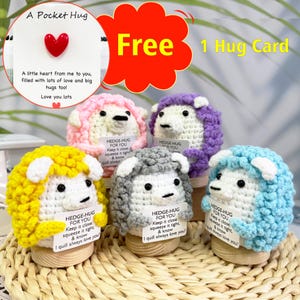Adorable tarjeta de abrazo de erizo de crochet con corazón, regalo de apoyo emocional, abrazo de erizo, crochet sin costura, animales de crochet positivos, regalos para mamá/ella
