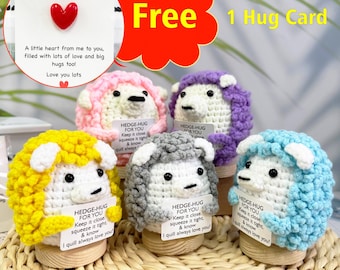 Adorable Crochet Hedgehog With Heart Hug Card,Emotional Support Gift,Hedgehog Hug,No Sew Crochet,Positive Crochet Animals,Gifts For Mom/Her