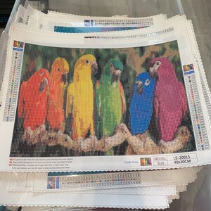 May include: Diamond painting kit featuring a colorful group of parrots perched on a branch. The kit includes a canvas with a pre-printed design, rhinestones, and tools. The model number is LS-20015 and the size is 40x30 cm.