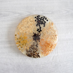May include: A round, clear resin coaster with a variety of seeds and grains embedded in it. The coaster is divided into eight sections, each filled with a different type of seed or grain. The seeds and grains are arranged in a circular pattern.