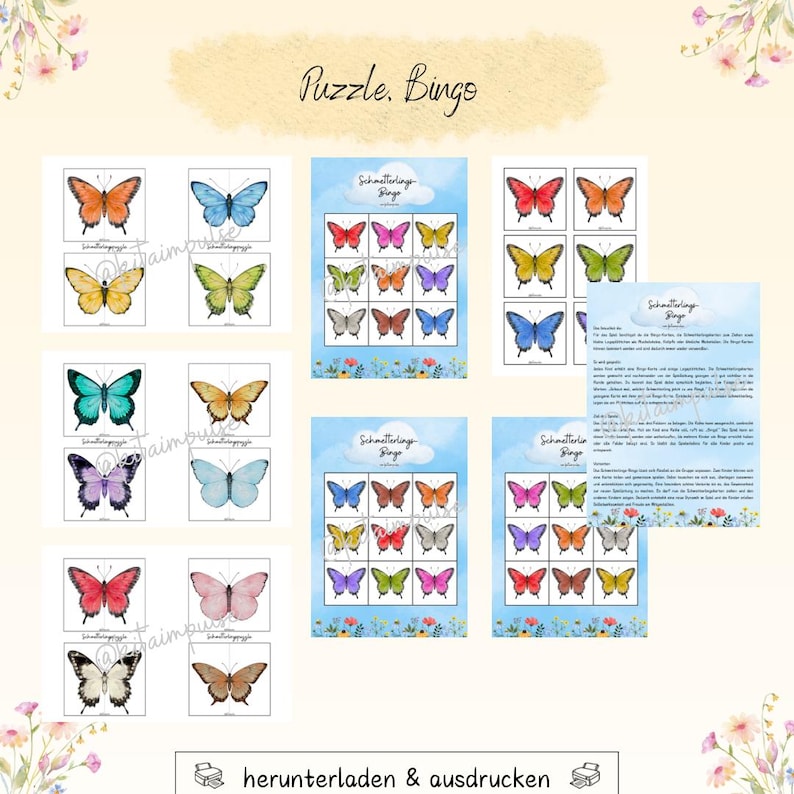 Carpeta del proyecto “De oruga a mariposa” imagen 9