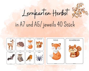 Lernkarten Herbst, Morgenkreiskarten, Wissenskarten