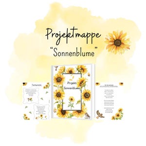Projektmappe Sonnenblume
