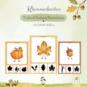 Könnte beinhalten: Ein Set aus 14 liebevoll illustrierten Klammerkarten mit Schattenbildern. Jede Karte zeigt ein herbstliches Motiv wie einen Kürbis, ein Kastanienblatt oder eine Eichel sowie drei schwarze Silhouetten zur Auswahl für eine Zuordnungsaufgabe.