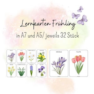 Lernkarten Frühling, Morgenkreiskarten, Wissenskarten