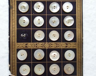 Vintage Mother Of Pearl Buttons / Pearl Buttons