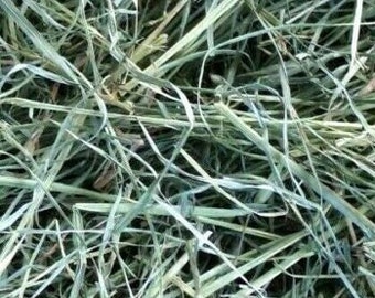 Dakota Hay Products Natures best New Crop 2023 Orchard Grass Hay in a box 5 lb for Guinea Pigs, Rabbits & Other Small Pets