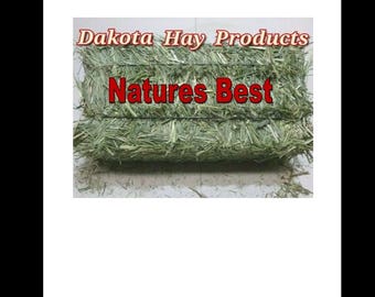 Natures Best First Cut Timothy Hay 1 - 2.5 Pound Bale