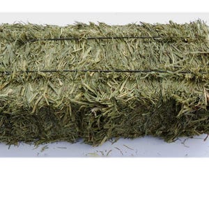 4 First Cut Orchard Grass 2.5 pound bales