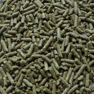 100%Orchard Grass Pellets 1 Pound of Fresh Run pellets There Is None Better! image 2