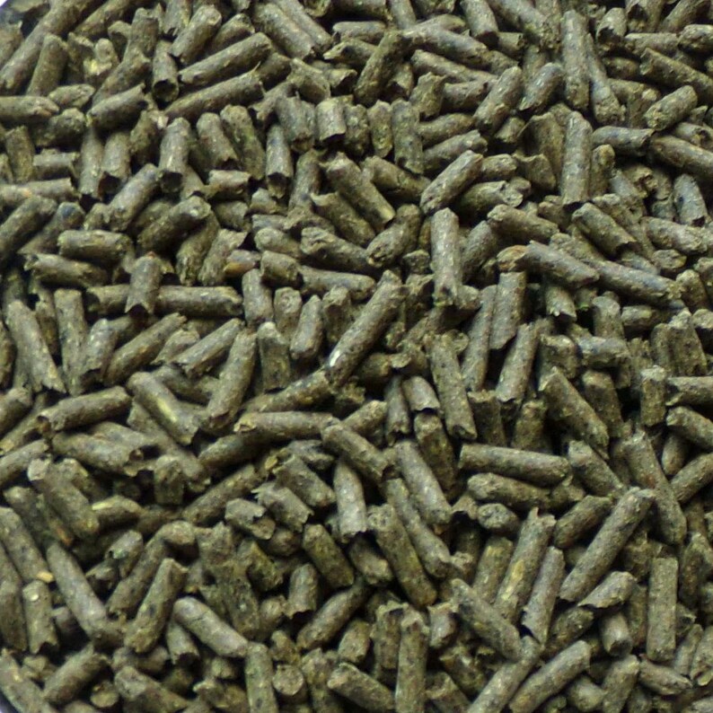 100%Orchard Grass Pellets 1 Pound of Fresh Run pellets There Is None Better! image 2