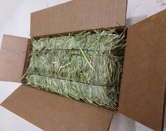 Dakota Hay Products Natures Best  WOW Deal 2023 First Cut Timothy hay Each  high compression bale is a 3 full lbs. of premium Timothy hay.