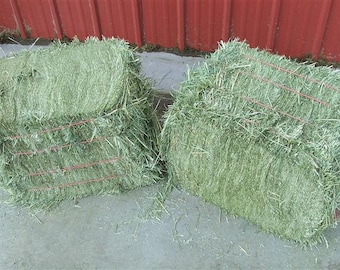 Dakota Hay Products Natures Best 10 lbs. Of Hay Low Price! 1st Cut Timothy Compressed Hay Flakes Clean, Green,Fresh Flakes. Pets Love It!