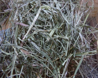 Dakota Hay Products 3 Lbs. Of 2023 Late Second Cut Timothy Hay Natures Best Good For All Small Pets!