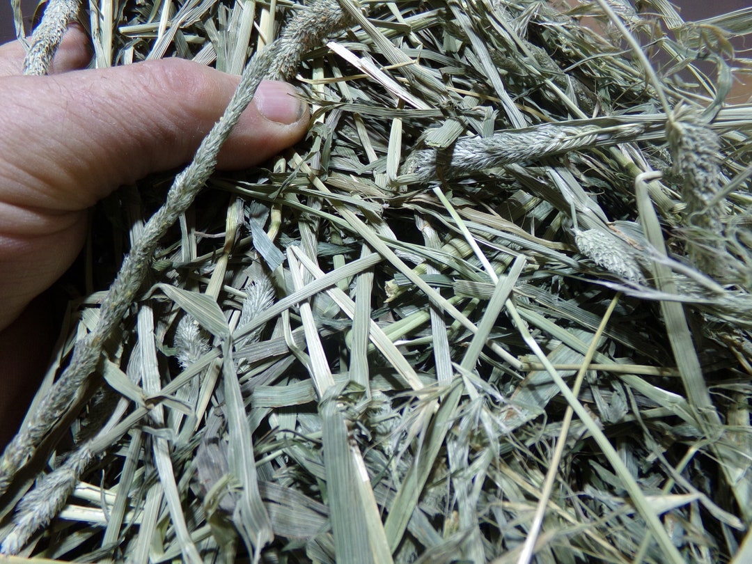 Dakota Hay Products Natures Best Early 2023 Timothy Hay 3 LBS. PLEASE Read the Description for