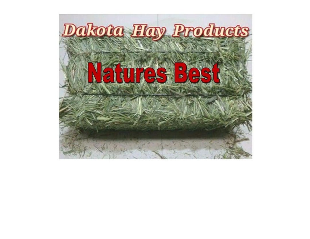 Timothy Hay Six Bales=15# of New Crop 2024 Hand Selected Hand Baled and ... - Baled Timothy Hay Near Me