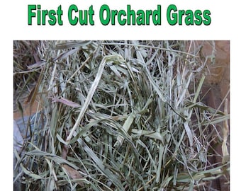First Cut Orchard Grass 2.5 pound bale