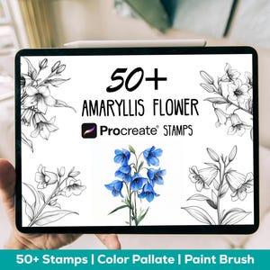 Procreate Amaryllis Flower Stamps | 50+ Amaryllis Flower Brushes | Amaryllis Flowers Procreate Stamps | Amaryllis Flower for Digital Art