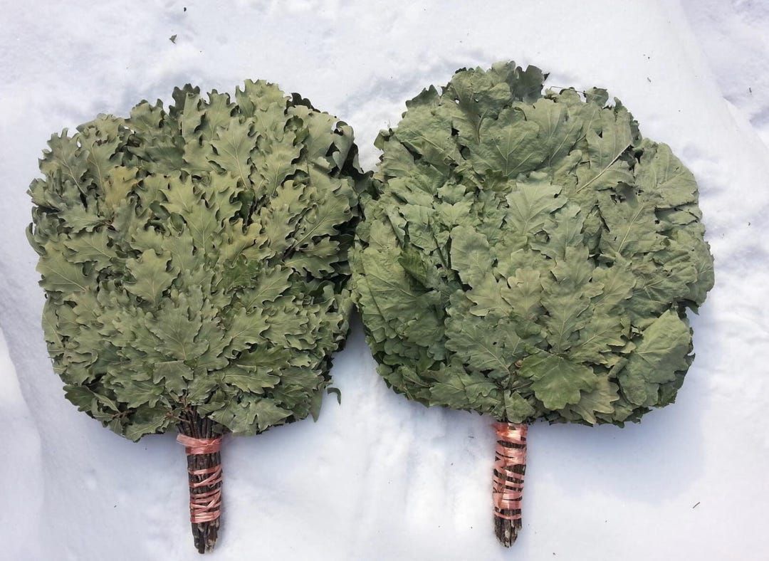 Sauna Oak Whisk Twigs Broom Bunch Bathhouse Banja Venik Banya Wenik ...