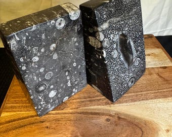 Sujetalibros fósiles de Orthoceras, piedra caliza marroquí negra pulida, par de 15 cm, pesados.