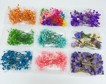 Fiori secchi, Mix di gypsophila per lavori creativi fai da te, Decorazioni per matrimoni, Scatola di fiori, Decorazioni floreali, Progetti creativi