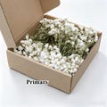 100 Steams Real Dried Baby's Breath Box, Home Decor, Natural Wedding Centerpiece Arrangement