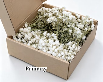 100 Steams Real Dried Baby's Breath Box, Home Decor, Natural Wedding Centerpiece Arrangement