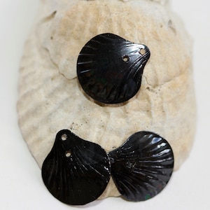 VINTAGE/ Small Rounded Edge / Two Holed /  Black Iridescent / Clam Shell Sequins / 50 / Trim / Spangles / Seaside / Sewing / Crafts
