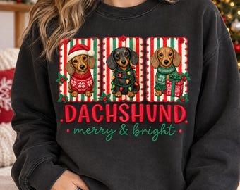 Christmas Dachshund PNG, Christmas Dog Trio in Festive Sweaters