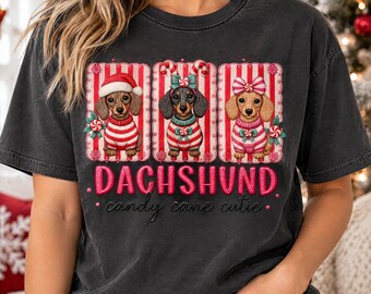Weihnachtliche Dackel aus Papua-Neuguinea, drei festliche Hunde in Zuckerstangenpullovern