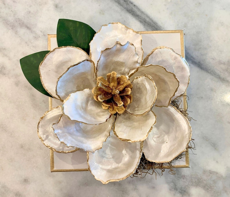 Large Oyster Shell Magnolia Flower, Oyster Magnolia Blossom, Southern ...