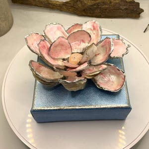 Small Pink Oyster Shell Magnolia Blossom, Southern Magnolia Shells ...